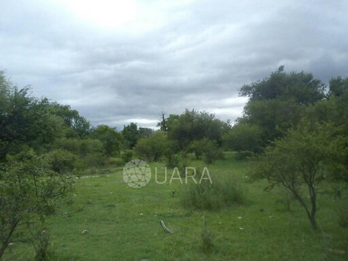 Imagen 5 de 12 de Campo En Venta A 5km Del Centro De Mina Clavero S/ruta 14