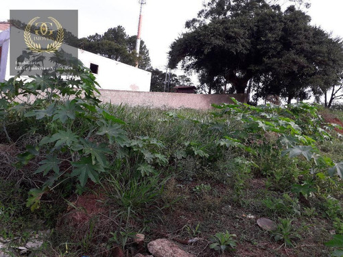 Imagem 10 de 13 de Terreno À Venda, 360 M² Por R$ 96.000 - Vila Elsa - Viamão/rs - Te0170