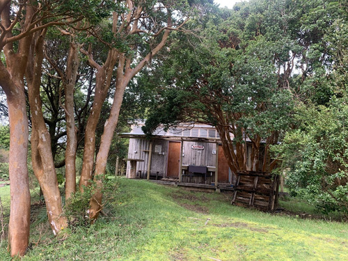 Precioso Camping En Cucao Con Acceso A La Playa
