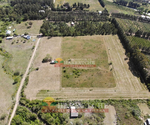 Imagen 6 de 17 de Venta De Chacra Melilla 3 Has Hermoso Paisaje.financia Propietario