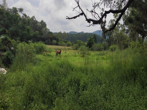 Chácara 20.000 M² - Passo Do Pinto - Gravataí - Rs - 2501 - 69235962