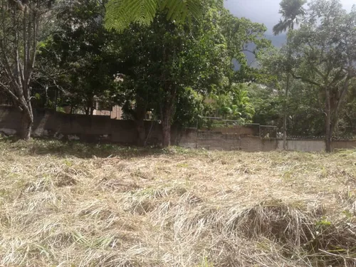 Terreno En La Castellana