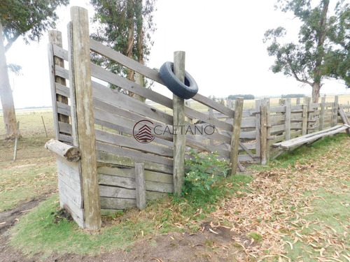 Imagen 5 de 13 de Campo- Chacra En Venta- Entrada De Pueblo Garzon-35 Hectareas - Garzón Pueblo Garzón