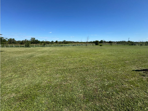 Vendo Terreno, 503 M2 En Las Acacias, C. Del Uruguay, Entre Ríos.