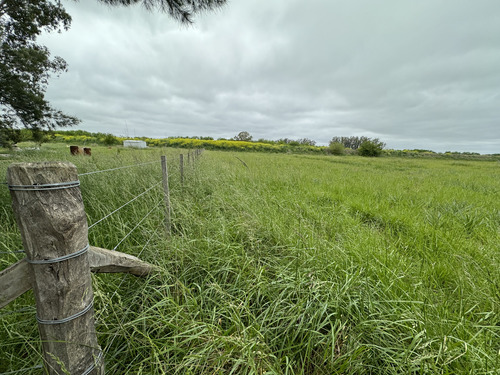 Chacra De 6.676 M2 En Barrio Estancia Las Malvinas 1 - Brandsen