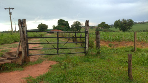Chácara, Sitío De 3 Alqueires Na Cidade De Nova Castilho Sp, Regiao De São Jose Do Rio Preto E Araçatuba Sp