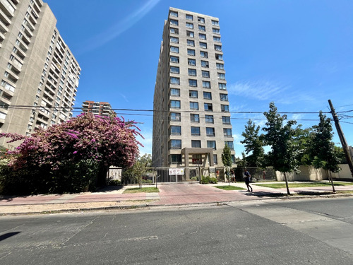 Condominio Doña Francisca Dp 2d 1b Y Estacionamiento