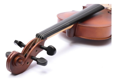 Violín 4-4 Acústico Profesional Madera Estuche Y Accesorios