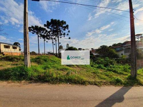Imagem 6 de 7 de Terreno À Venda, 2150 M² Por R$ 850.000,00 - Gralha Azul - Fazenda Rio Grande/pr - Te0035