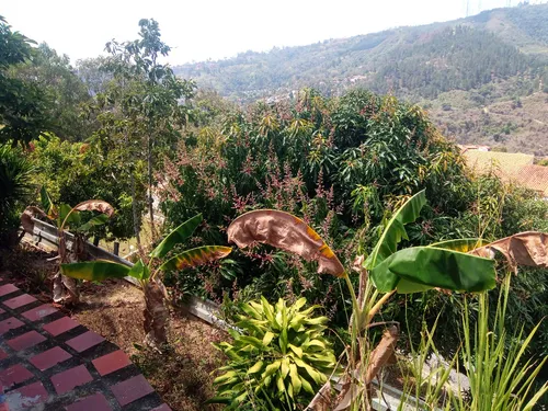 Los Naranjos, El Hatillo