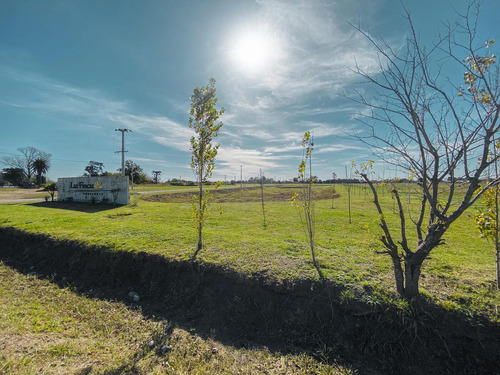 Terreno En Las Fincas De Ibarlucea Con 400m²