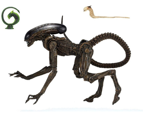 Aliens Alien 3 Perro Alien Ultimate 7in Figura De Acción