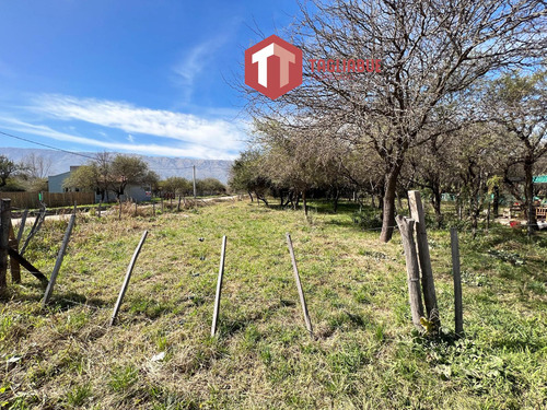 Esquina En Zona Centrica - Merlo - San Luis - Terreno