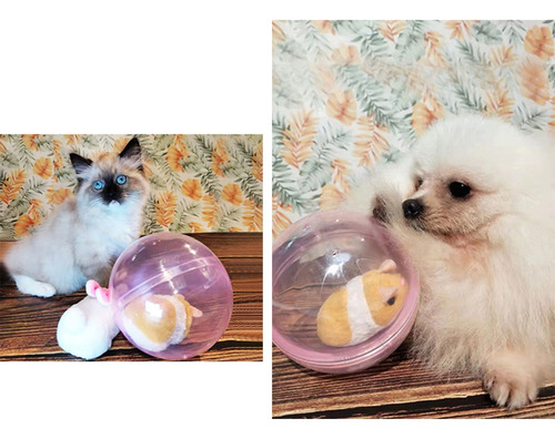 (03-b) Pelotas Inteligentes Interactivas Con Forma De Conejo