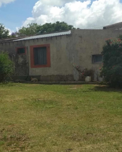 Imagen 7 de 10 de Vendo 320 Hectáreas ( Artigas. Uruguay ).