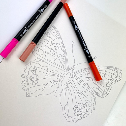 Libro Para Colorear: Fauna Y Flora - Vicky Aguirre/tapa Dura