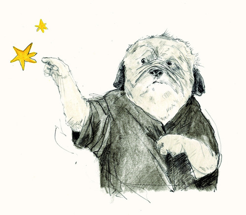 Três desejos para o sr. Pug, de Sebastian Meschenmoser. Editorial Editora Schwarcz SA, capa mole em português, 2017