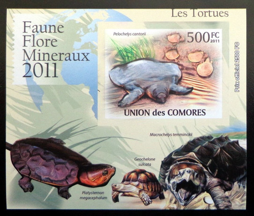 Comores Fauna, Bloque 1 Sello Tortugas 2011 Mint L9346
