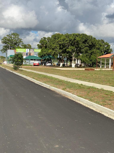 Imagem 30 de 30 de Terreno - Ak01719a6 - 67869489
