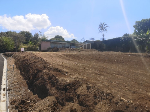 Imagen 9 de 10 de Terreno En Naranjo