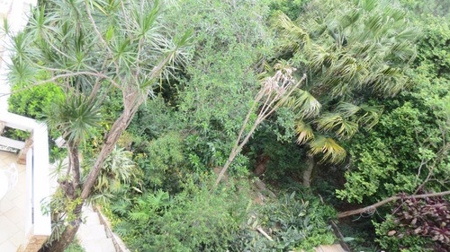 Imagem 23 de 30 de Chácara Com 3 Dormitórios À Venda, 3700 M² Por R$ 1.300.000,00 - Vale Verde - Valinhos/sp - Ch0402