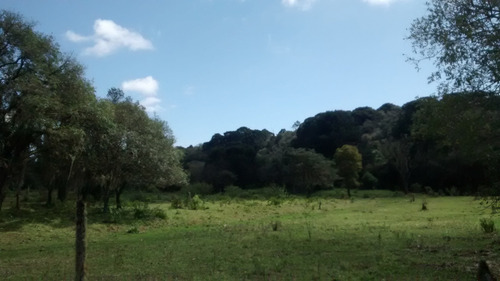 Imagem 16 de 30 de - Mch-0025