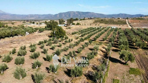 Imagen 6 de 7 de 2.8 Hectáreas Cerca De Vinícola El Cielo En Valle De Guadalu