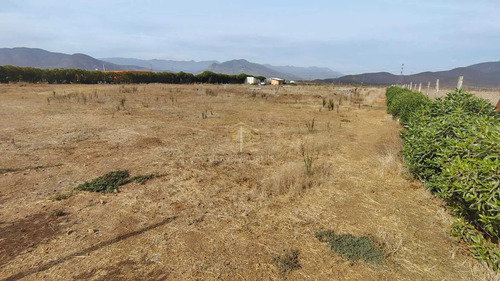 Parcela 6000 M2 Cercana A Ruta 43, Coquimbo (175018)