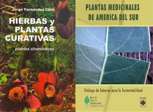 Chiti Hierbas Y Plantas Curativas Shamanicas + Medicinales