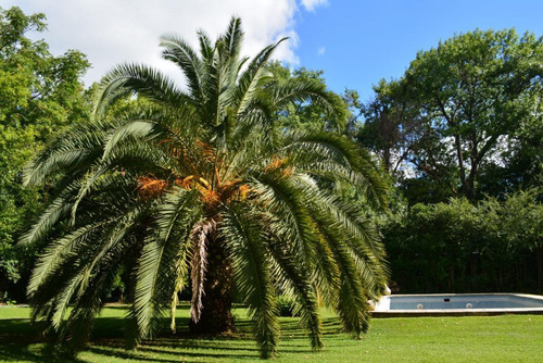 Casa - General Rodriguez