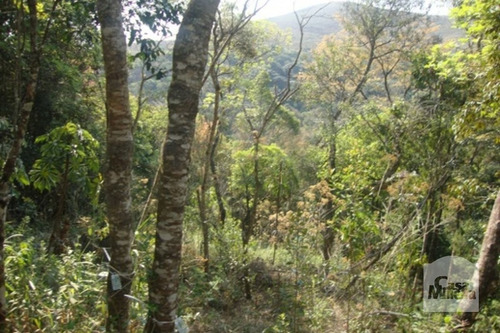 Imagem 2 de 10 de Lote Em Condomínio À Venda No Arvoredo - Código 218875 - 218875