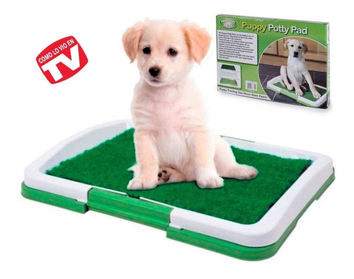 Tapete Tv Entrenamiento Perros Baño, Puppy Potty Pad + Obseq