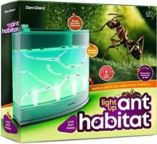 juguete para niños caja educativa Juego de castillo de hormigas de granja de hormigas de plástico para nido de arena de cría de insectos LUNAH 