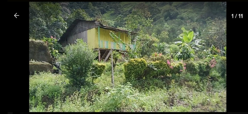 Imagen 3 de 10 de Se Vende De Oportunidad Hermosa Finca De 40 Hectáreas