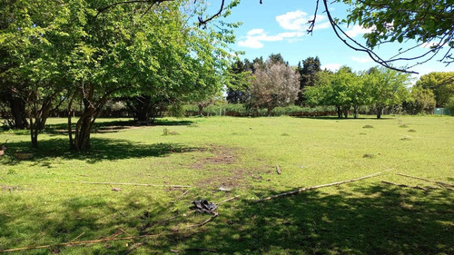Imagen 1 de 8 de Hermoso Lote En Tortuguitas En Zona De Quintas
