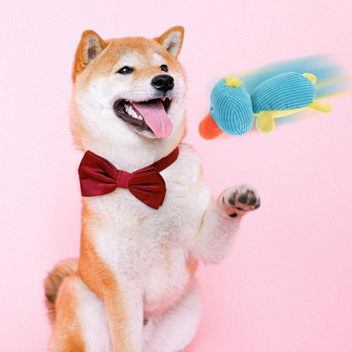 Juguete Portátil Para Morder Perros Squeaky Dog, 1 Unidad, D