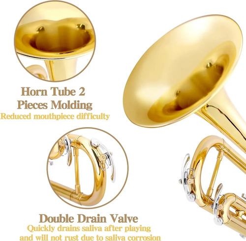 Trompete Slade Em Sib Dourado Laqueado Com Estojo De Luxo