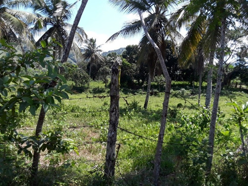 Té Vendo Excelente Finca En Bonao