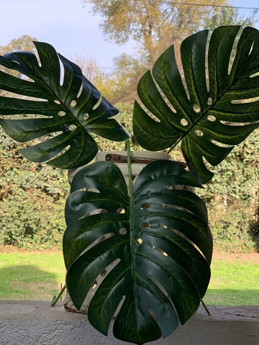 Planta Artificial Hoja Costilla De Adan Deco Interiores 61cm Color Costilla De Adán Clara