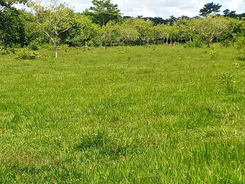 Vendo Fincas, En San Jose De Los Llanos.