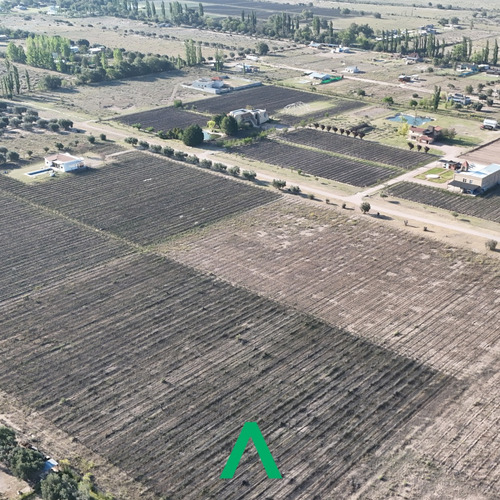 Finca Con Viñedos En Barrio Privado
