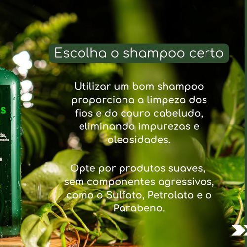 Shampoo E Cond 12 Ervas 600ml + Tônico 60ml Alumã Ou Urtiga