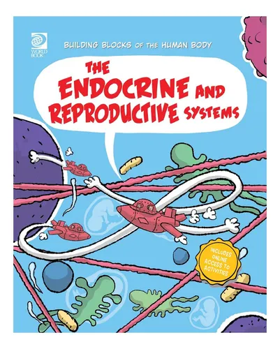 comprar Libro: Los Sistemas Endocrino Y Reproductivo (construcción D