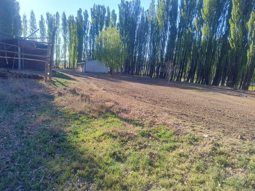 Chacra En Venta En Paso Aguerre Picun Leufu