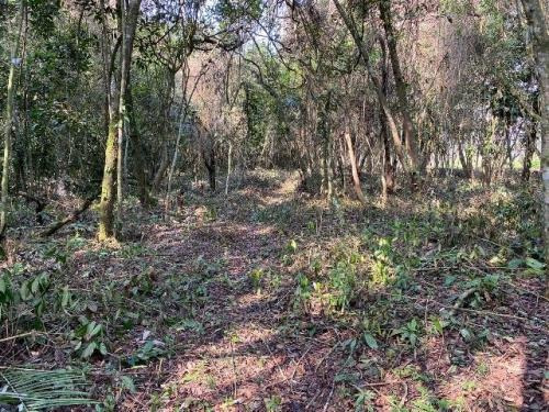 Imagem 4 de 7 de Lote De Chácara Em Itanhaém Com 2214m² Total 7270