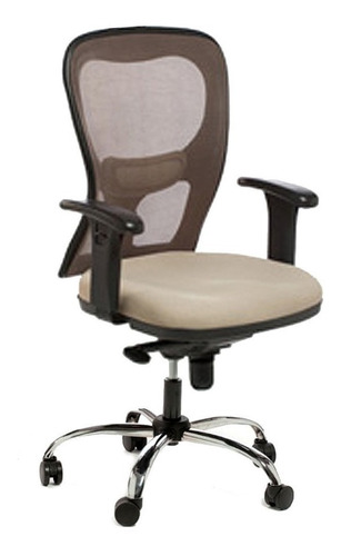 Silla Sillon Ergo Citiz Cromada Brazo Regulable Portantino 