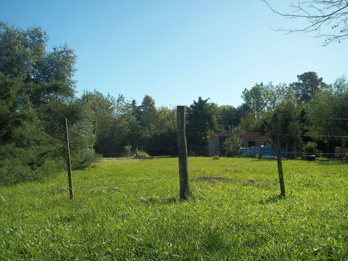 Imagen 7 de 13 de Lote En San Miguel Del Monte