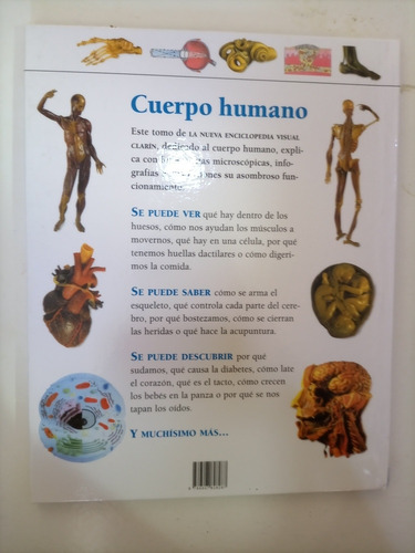Cuerpo Humano Clarín Nueva Enciclopedia Visual (Usado)
