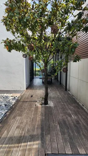 Venta Casa En Cumbres De Santa Fe 3 Recamaras Gimnasio Bodega
