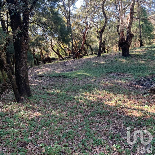 Venta Terreno 0 Ambiente Los Ocotes